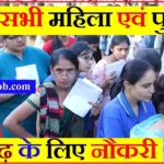 #अनपढ़ों के लिए सरकारी नौकरी Anpadh Ke Liye Naukari Sarkari Top 15+ List