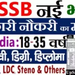 DSSSB Bharti 2026: दिल्ली सरकार में 911 पदों पर सरकारी नौकरी का मौका