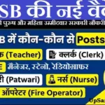 DSSSB Various Post Bharti 2026: दिल्ली में पटवारी, मैनेजर और स्टेनोग्राफर सहित 216 पदों पर भर्ती
