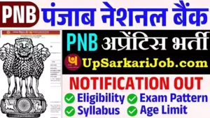 PNB Bank Apprentice Bharti