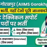एम्स गोरखपुर में प्रोजेक्ट टेक्निकल सपोर्ट पदों पर सीधी भर्ती, यहाँ देखें पूरी जानकारी
