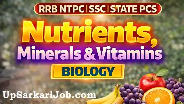 Biology Protein Vitamin and Minerals