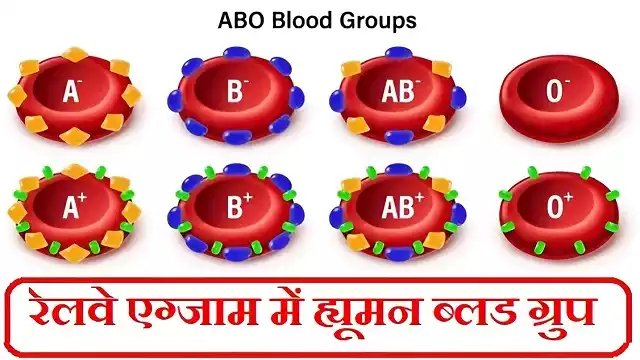 Human Blood Group One Liners