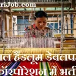 NHDC Bharti 2026: नेशनल हैंडलूम डेवलपमेंट कॉरपोरेशन में मैनेजर व अन्य पदों पर भर्ती