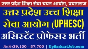 UPHESC Assistant Professor Bharti 2026: सिटी इंटिमेशन स्लिप जारी, एग्जाम सेंटर और एडमिट कार्ड अपडेट