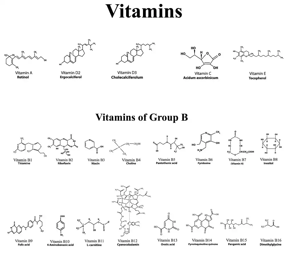 Vitamin and Minerals for Railway Exam