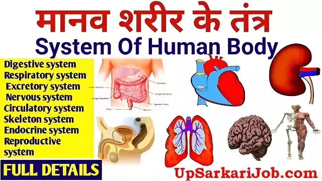 manav sharir tantra biology notes
